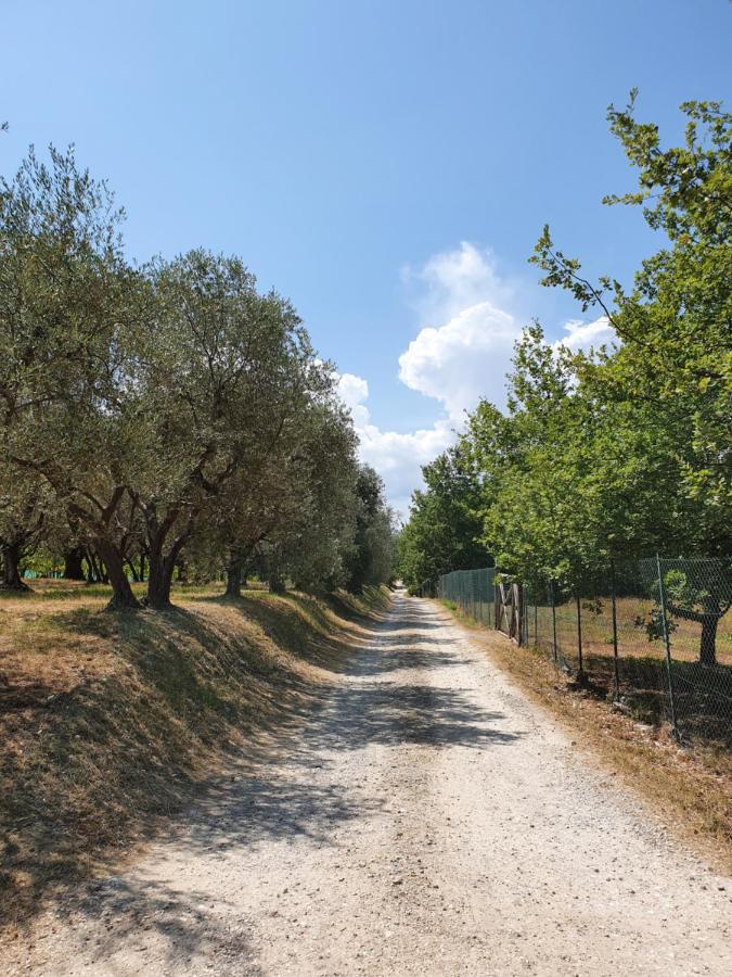 Villa Sweet In Chianti Tavarnelle Val di Pesa Esterno foto