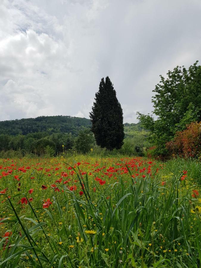 Villa Sweet In Chianti Tavarnelle Val di Pesa Esterno foto