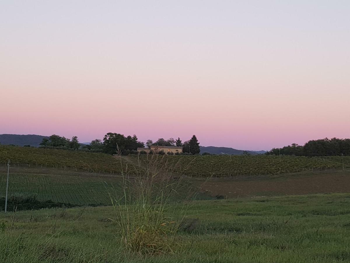Villa Sweet In Chianti Tavarnelle Val di Pesa Esterno foto
